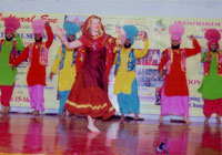 pic1